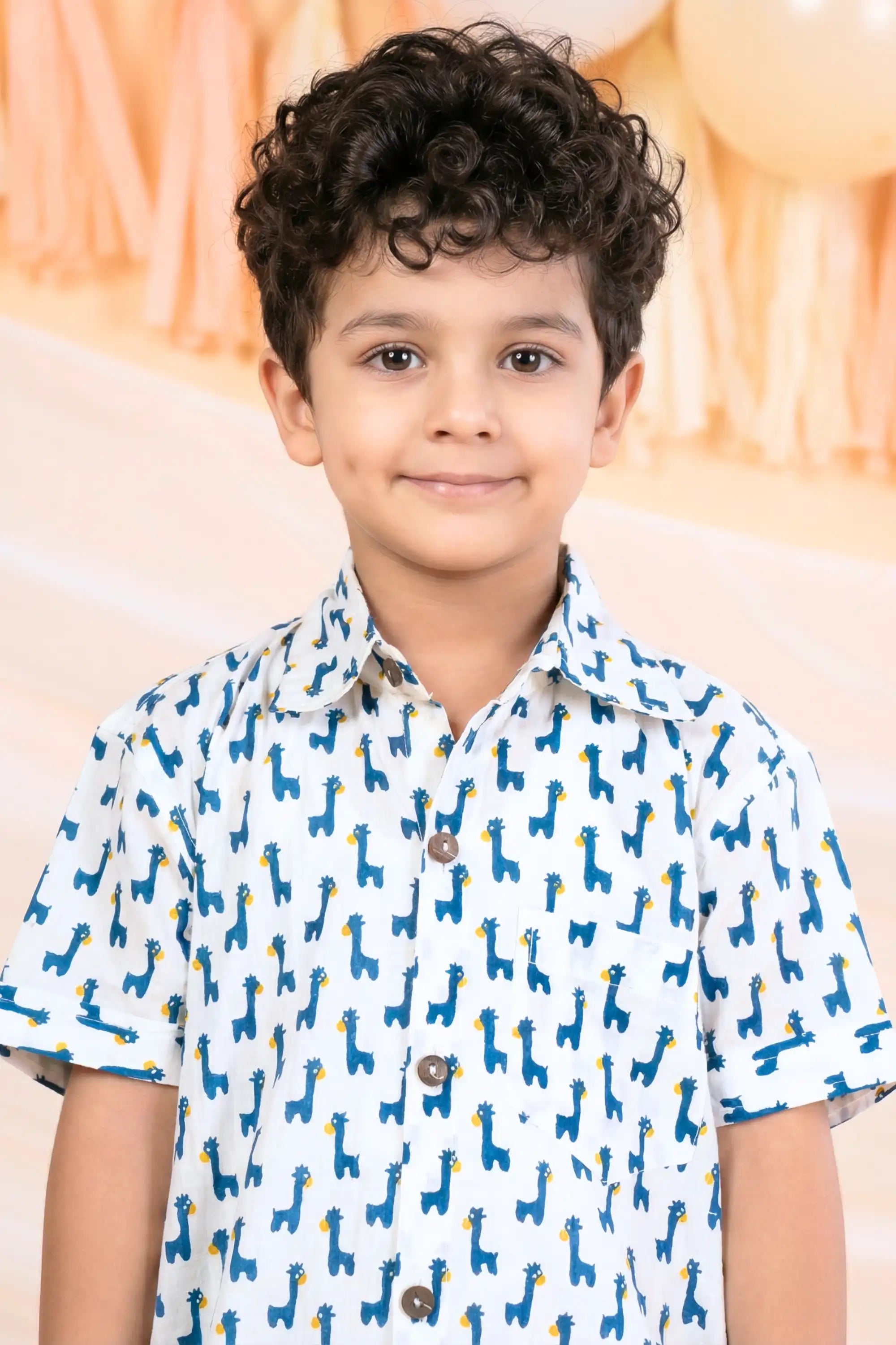 Boys Casual Giraffe Print Coord Set