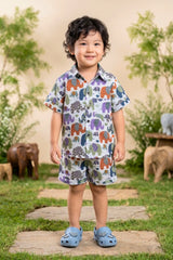 Boys Multicolour Elephant Parade Coord Set