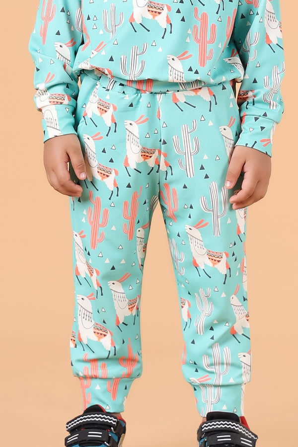 Bebe Unicorn Gender Neutral Looper Coord Set (Llama)