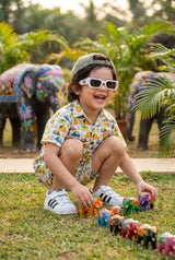 Boys elephant casual set with matching shirt & shorts, side pockets visible, perfect summer outfit for school, play, birthday celebrations, 100% cotton