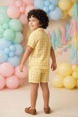 Checks Pure Cambric Cotton Boys Shirt & Shorts Coord Set Clothing Set